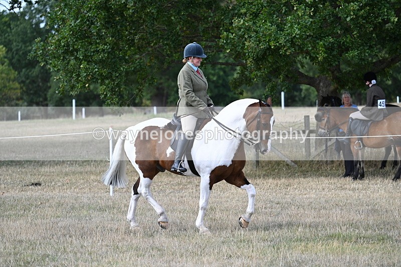 WJ7_6755 - Class 14 Ridden Coloured