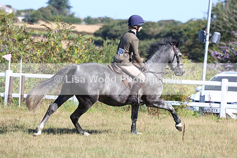 3E7A5526 - Class 3: Working Hunter 70cm