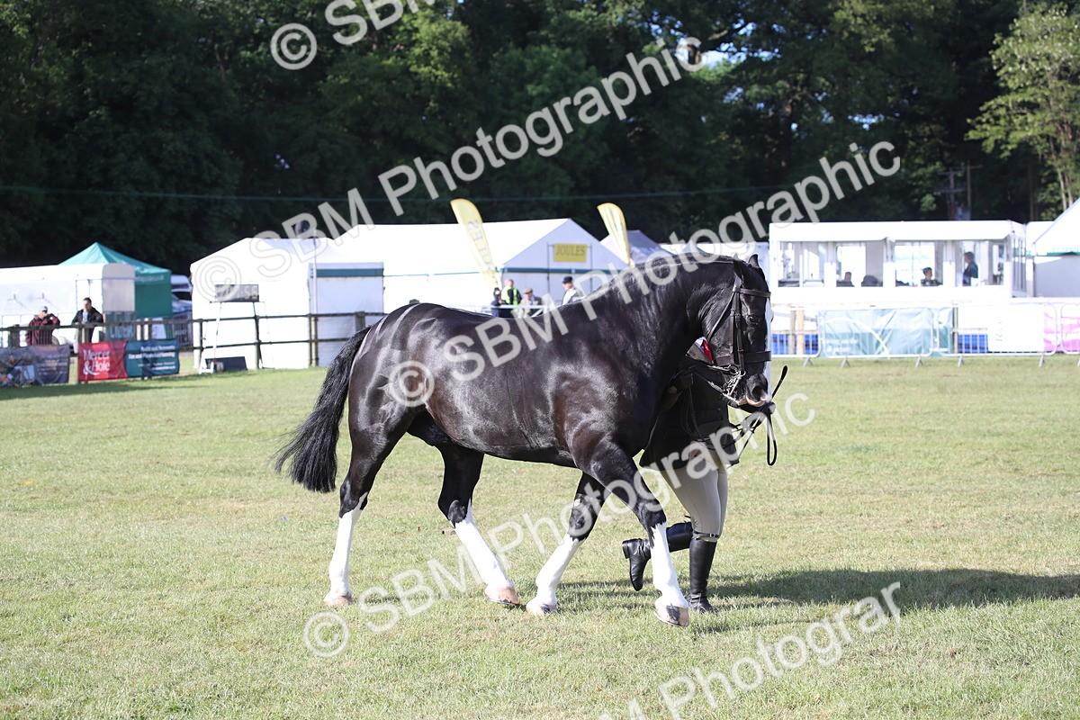 SBM_11117 - Class 92-93 - LIHS BSHA Rising Star Cobs