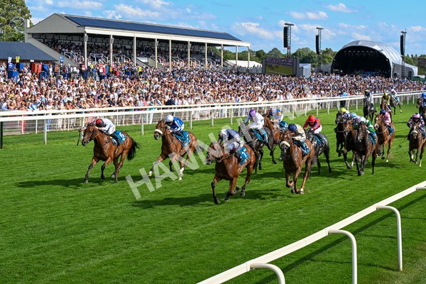 280625-Race 6-Dream Out Loud-0557 - Race 6 4.50pm Al Basti Equiworld Dubai Sprint Handicap