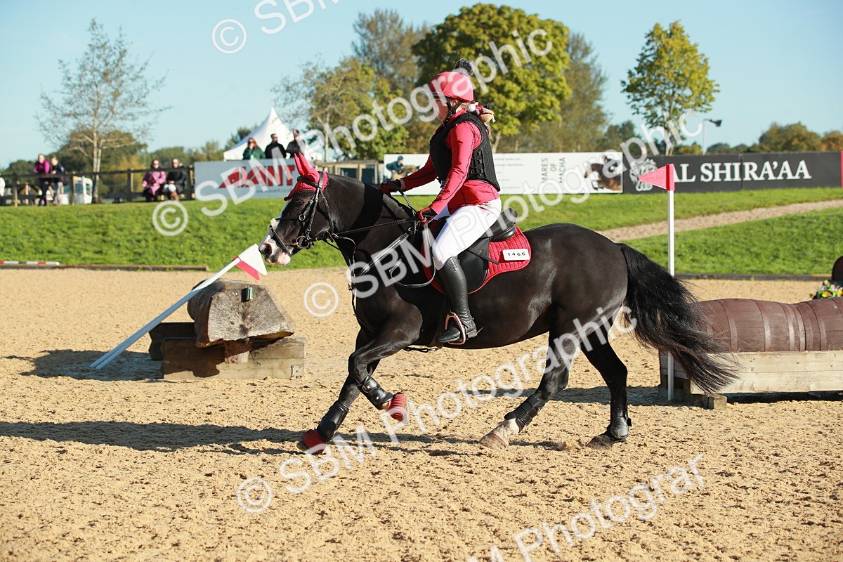 SBM_15142 - E5 - Eventers Challenge 50cm Open