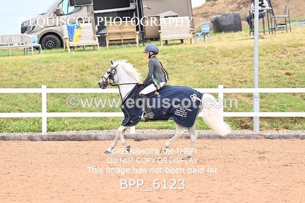 BPP_6123 - SUN CLASS 49 Horse of The Year Show 128cms Qualifier