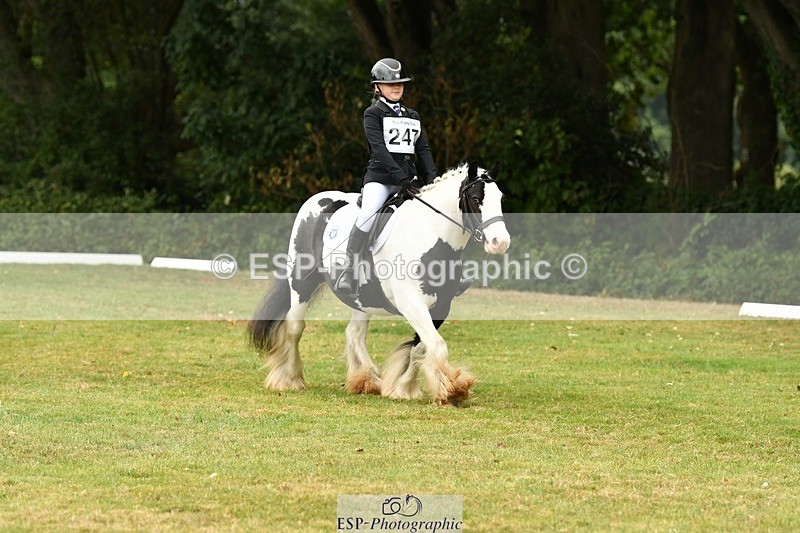 250820A-122540-05596 - 12 to 13.00