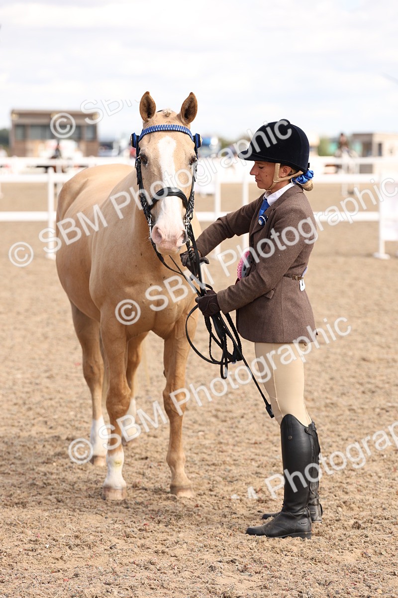 SBM_14734 - Class 208 - IH Veteran Horse