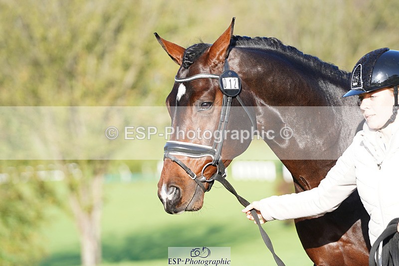 241026-101712-11750 - 012-Mollie.Summerland-SKITTEL.D'EKWI