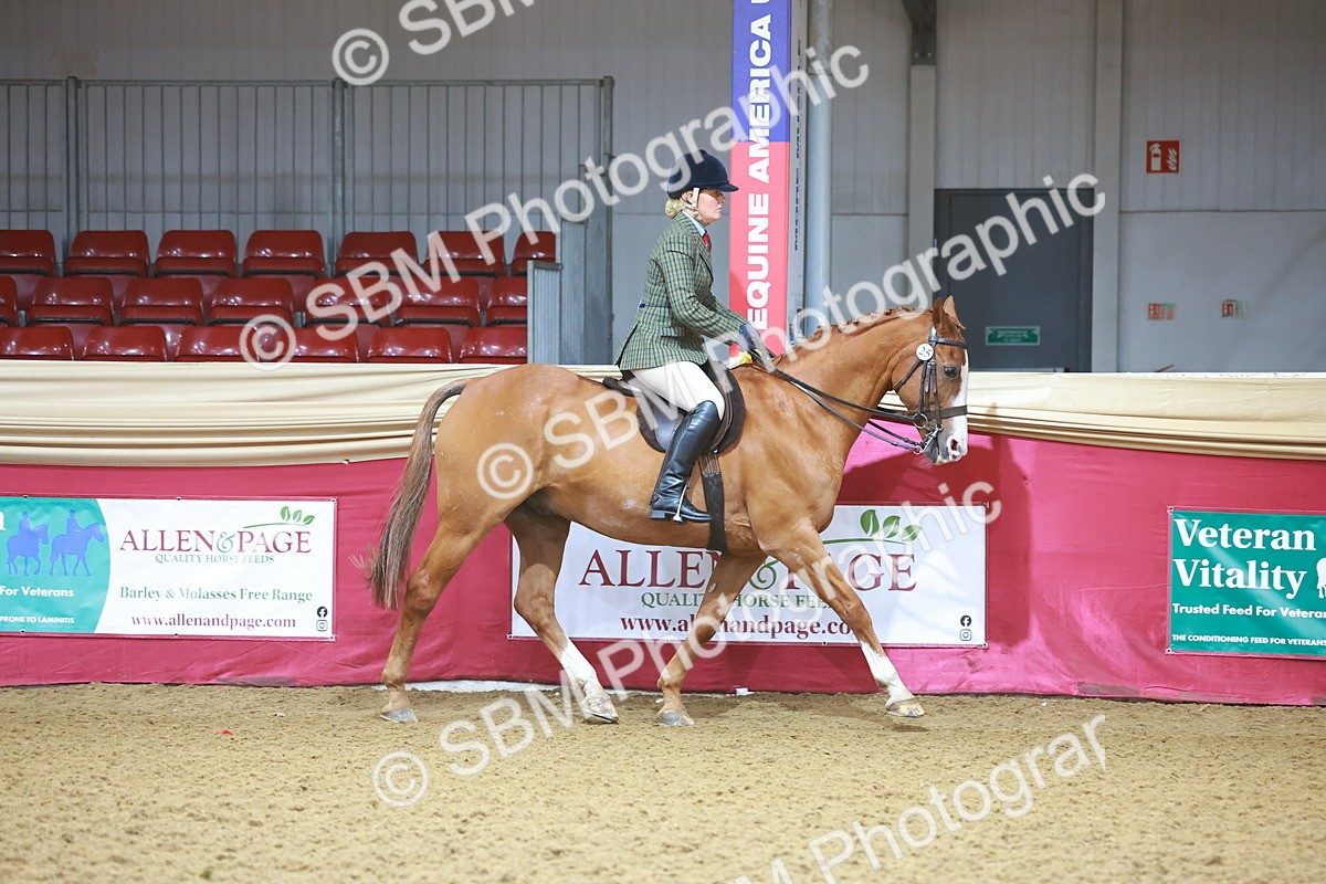 SBM_07591 - Class 101 - HOYS Veteran Qualifier - Ridden Diamond
