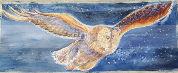 Night Owl - Watercolor