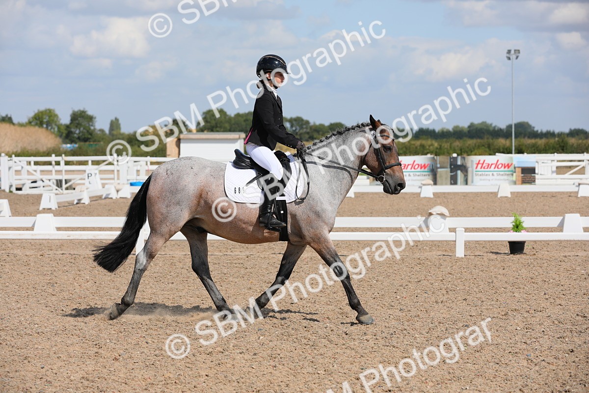 SBM_03993 - Class 31 Prelim 1