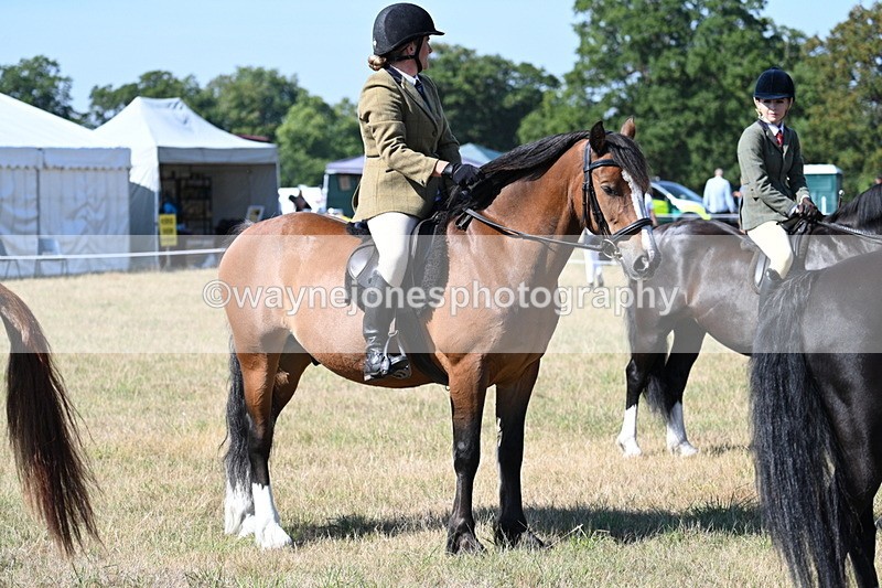 WJ7_3835 - Class 9 Mountain & Moorland Ridden