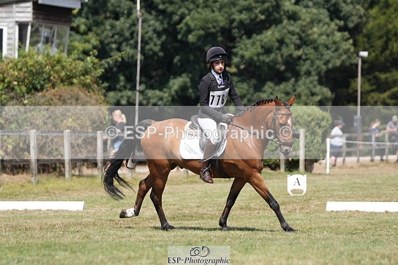 250823A-130807-31139 - Arena A