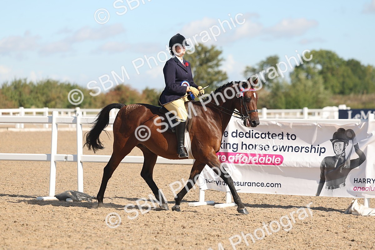 SBM_12440 - Class 304 - Ridden part Bred Horse Pony