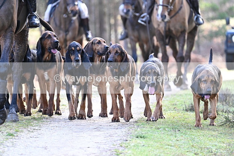 WJ7_7689 - Line 3 (no line 4 or 5)