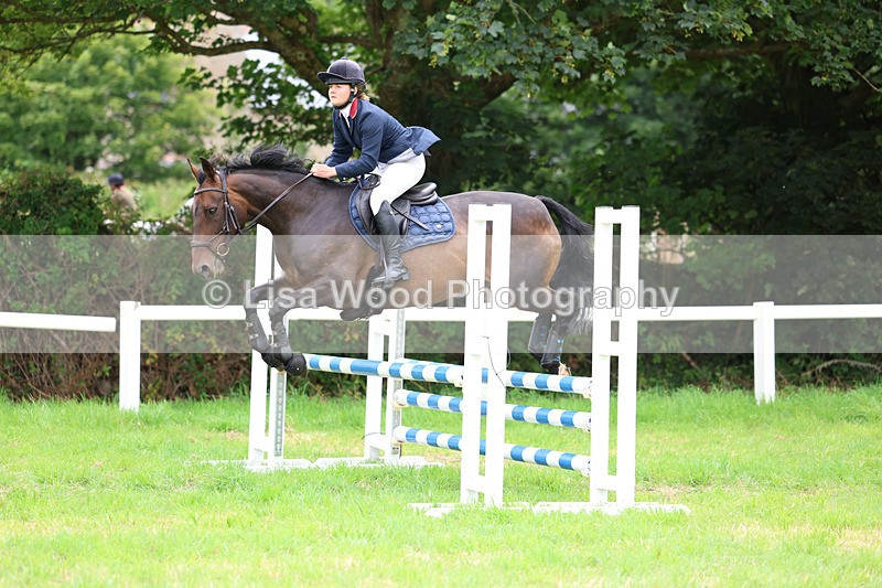 3E7A7164 - Class 5: Senior British Novice/90cm open