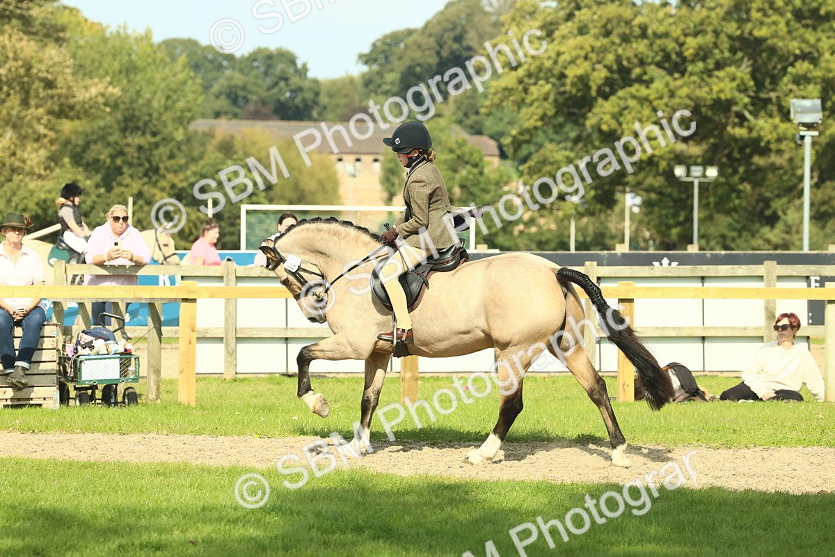 SBM_67626 - S56 - Coloured Pony Ridden