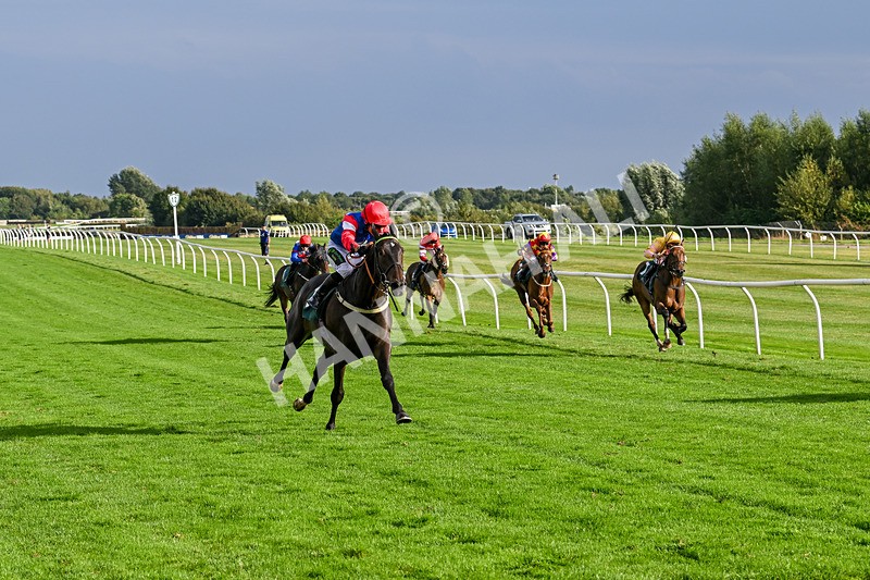 280824-Race 7-Crocodile Power-5073 - Race 7