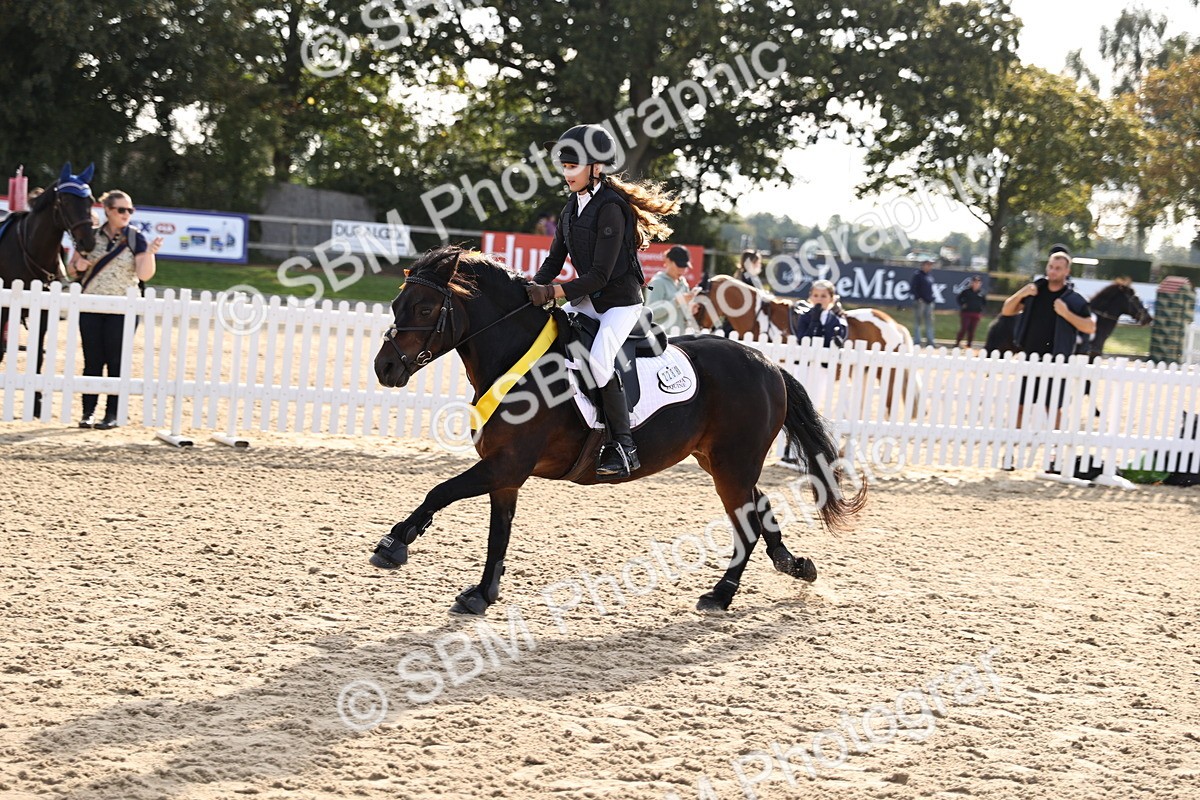 SBM_59794 - J11 - Junior Pony 50cm Championship