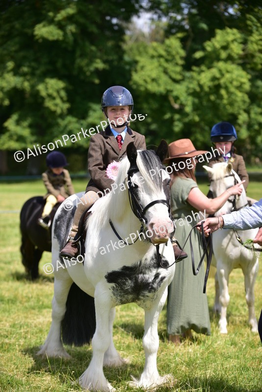 20260614-1303 - Class 11a - Lead Rein Pony (Unplaited)