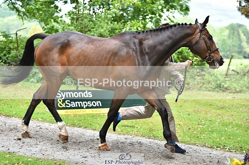 240522-170342-01358 - 235-GREENHALL_JAY-Henry_Hobby