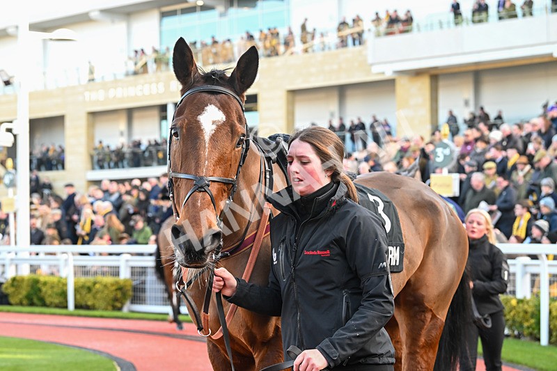 250125-Race 1-Whistle Stop Tour-3797