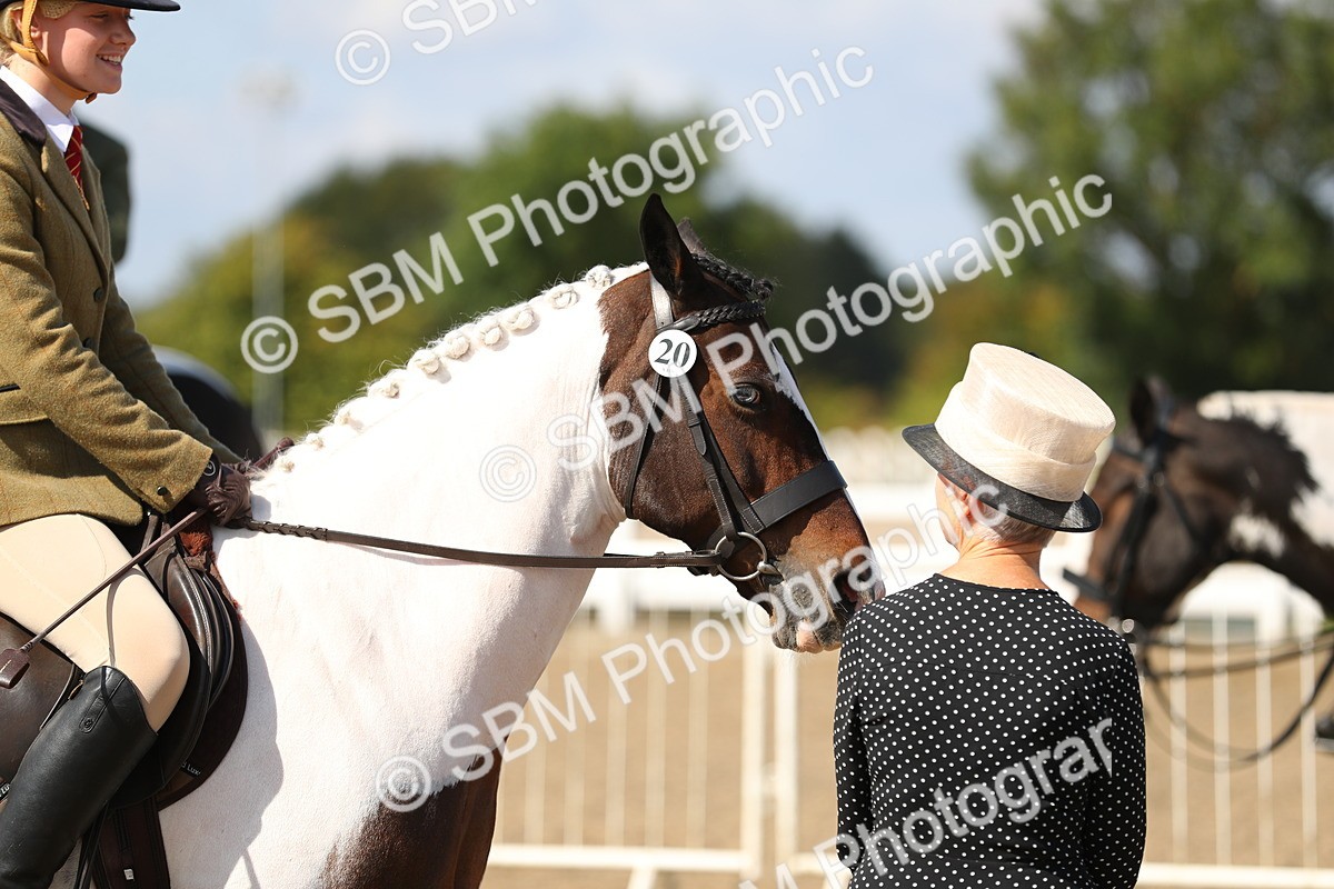 SBM_03239 - Class 44 Riding Club Horse/ Pony
