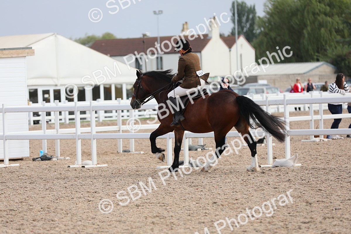 SBM_17751 - Class 315 Best Horse/Rider Combination