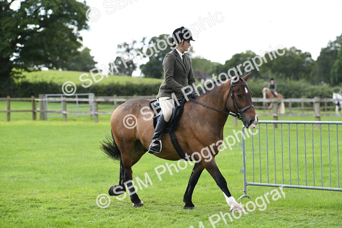 SBM_46682 - S12 - Family Horse & Pony
