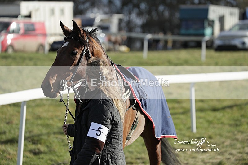 PtP 260223 975 - South & West Wilts Point-to-Point Larkhill 26/02/23