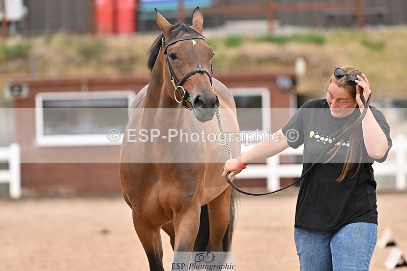 250716-160714-02420 - Trot Up 3.30 to 4.30