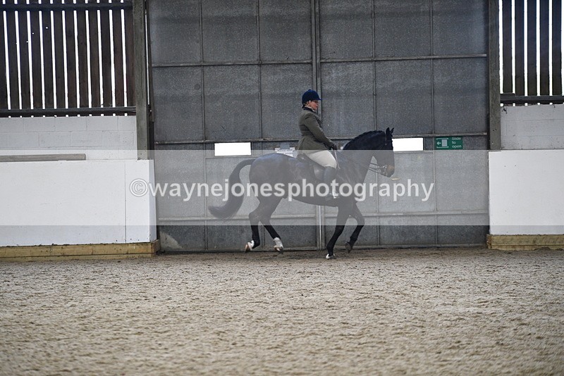 WJ5_7835 - Class 13 Ridden Part Breed
