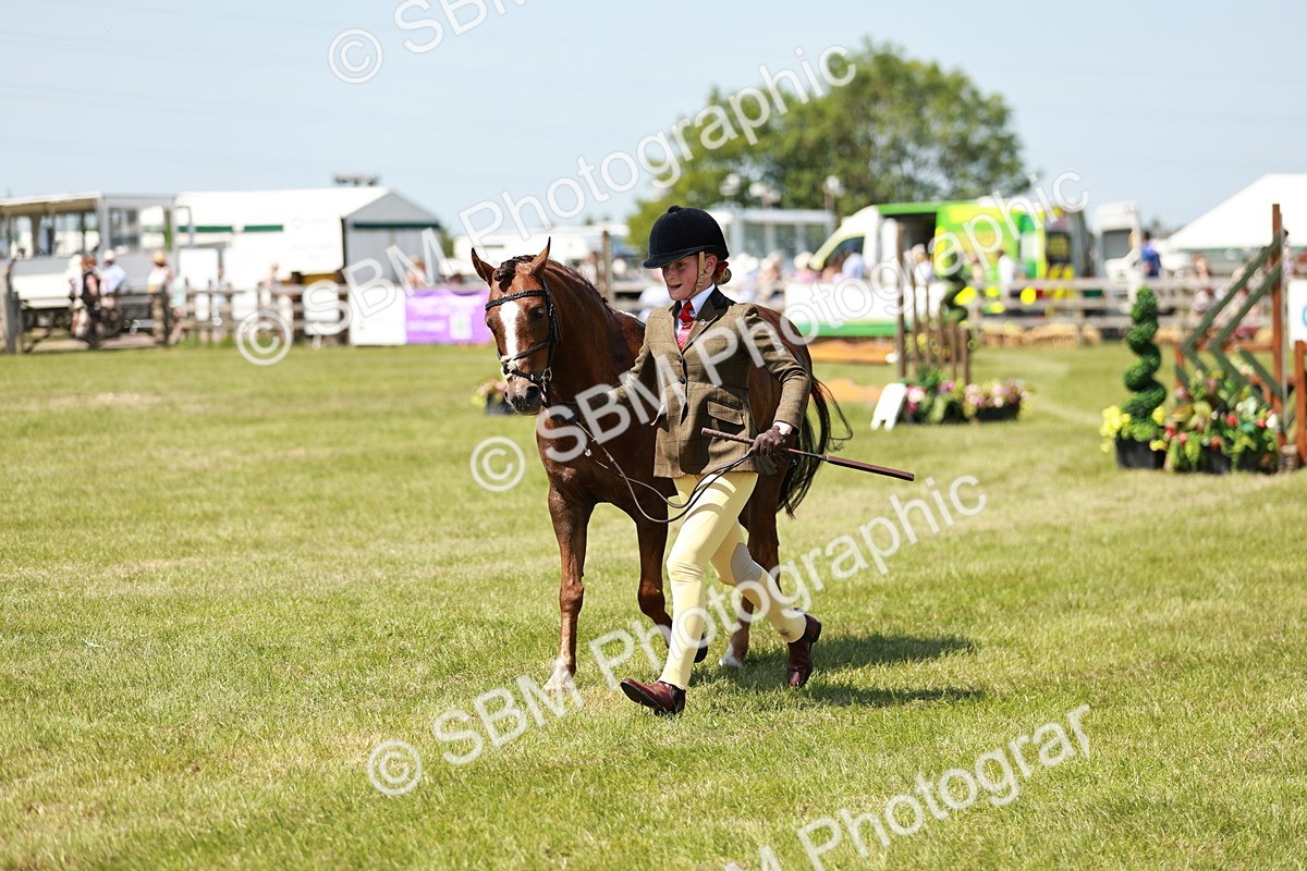 SBM_15608 - Class 108-109 - BSPS LIHS Open Gradle & Nursery Stakes