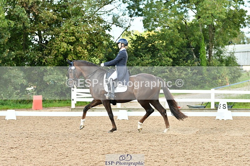 230912A-171135-01951 - Cls 23 FEI Grand Prix