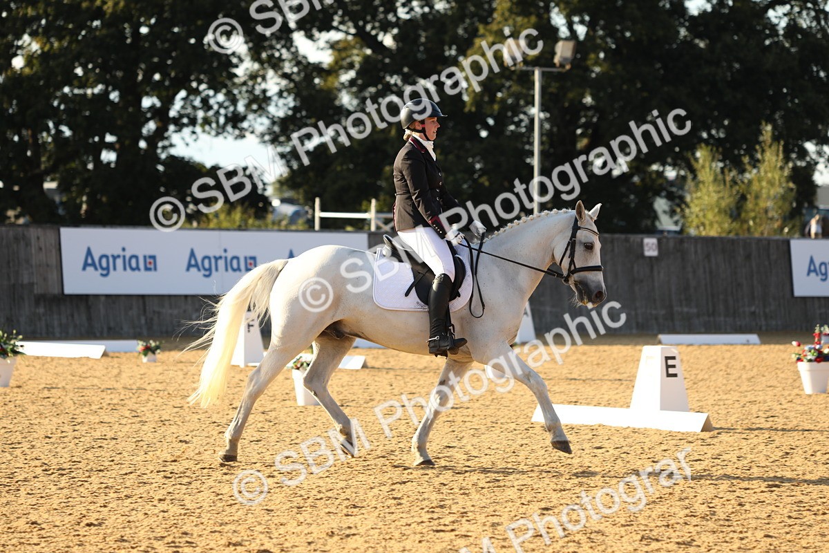 SBM_30396 - D20 - Grand Tour Championship - Elementary 44