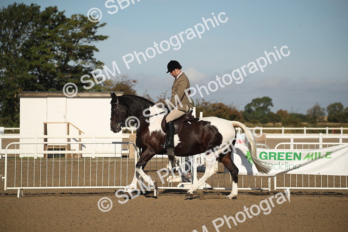 SBM_11338 - Class 501 -Riding Club Pony