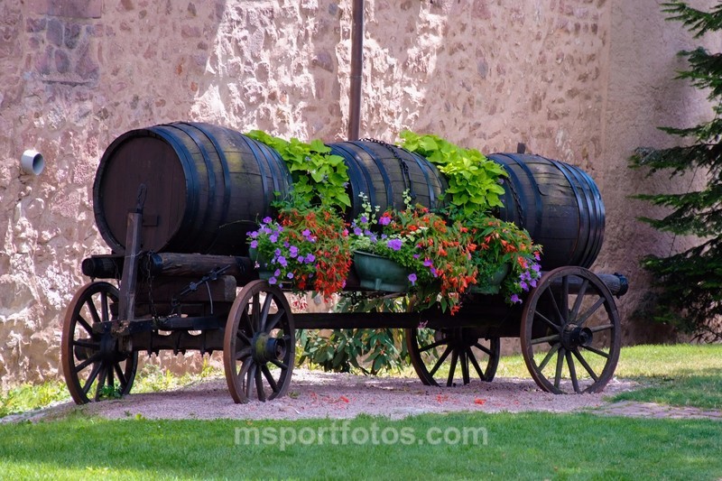 Wine transport ...Riquewhr style - Travel, city/land scapes