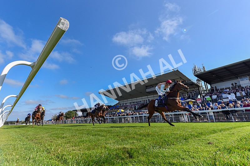 180924-Race 4-Surprised-7367 - Race 4