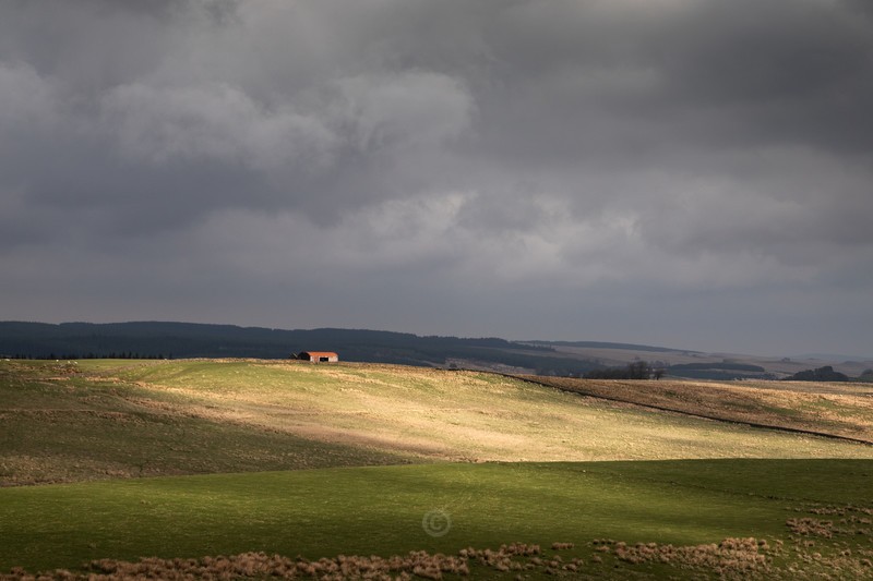 Barn - The Repository