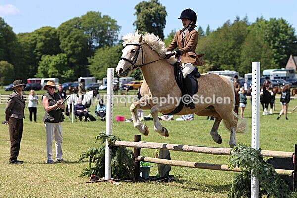 IMG_3670 - Working Hunter