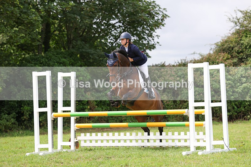 3E7A6955 - Class 5: Senior British Novice/90cm open