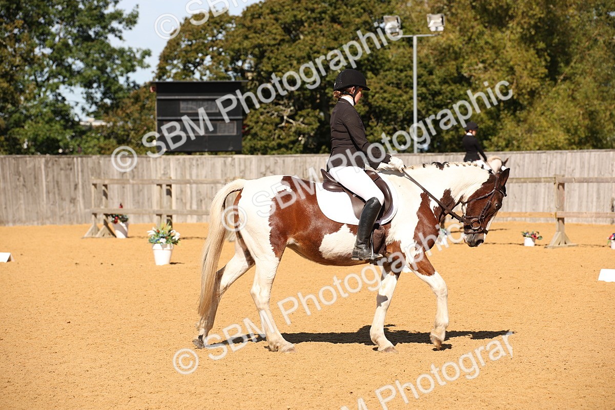 SBM_21631 - D5 - Small Tour Championship - Intro C