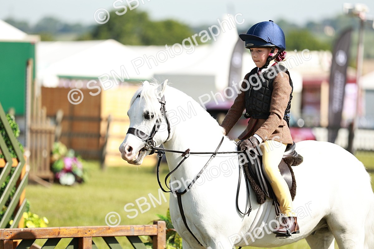 SBM_12639 - Class 106-107 - BSPS LIHS Working Sports Pony