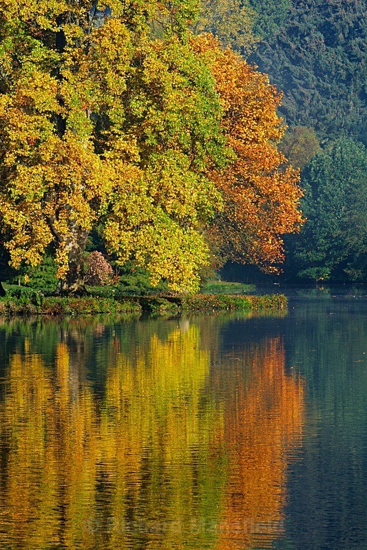  - Landscape