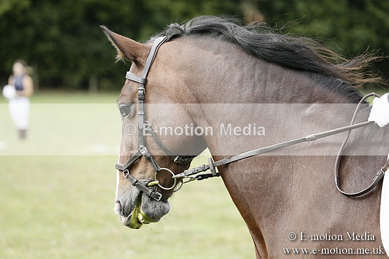 BVR080918 167 - BVRC Novice Dressage & CR 08/09/18