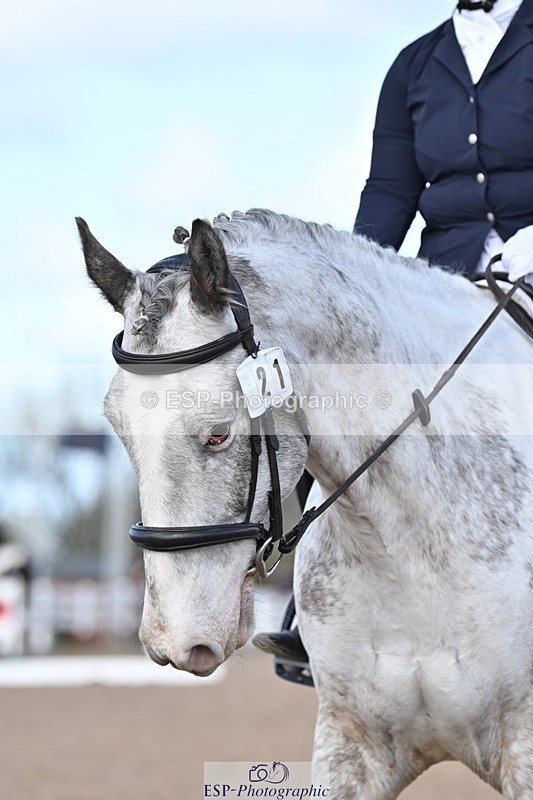 240324A-124216-02354 - Novice 28, 12.15 to 13.00