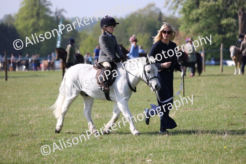 20250427-0140 - Class 30 - Tiny Tots Lead Rein