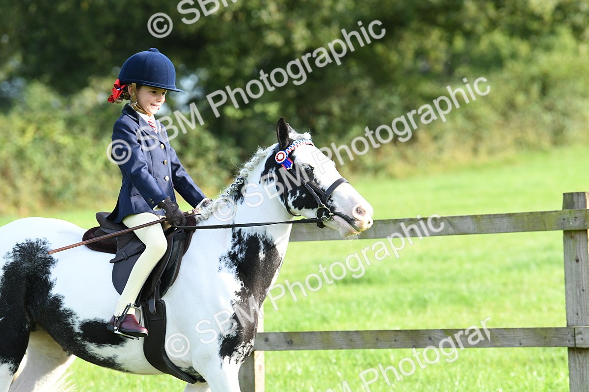 SBM_52350 - S22 - 1st Ridden Show & Show Hunter Pony