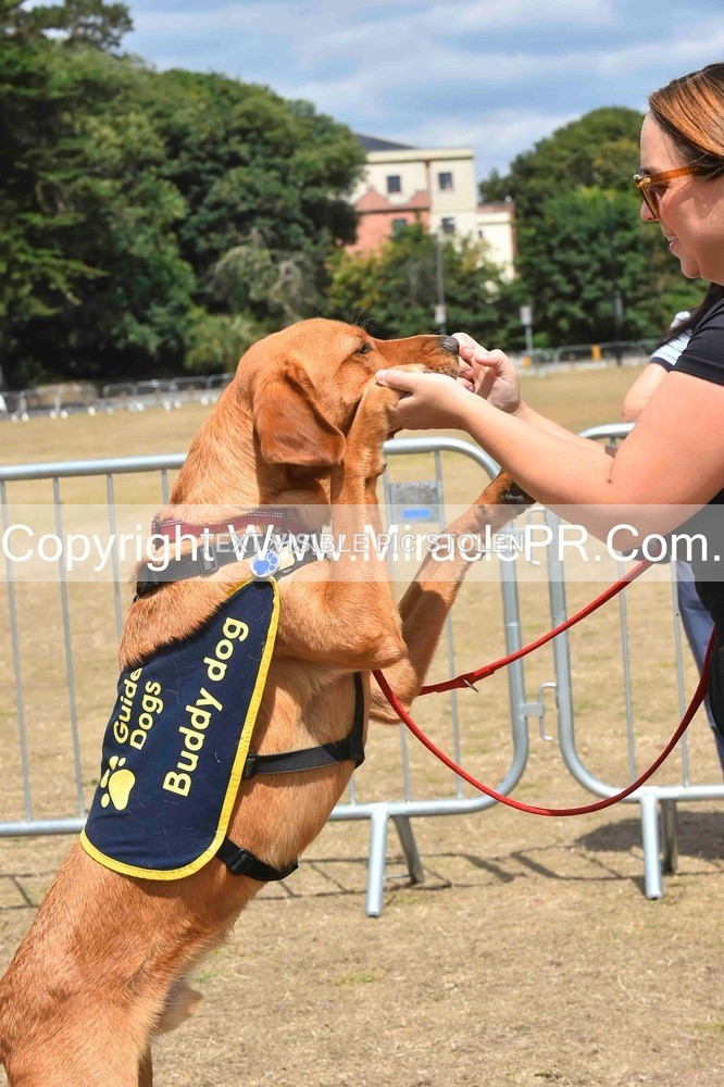 SH4_0227 - Dog show.