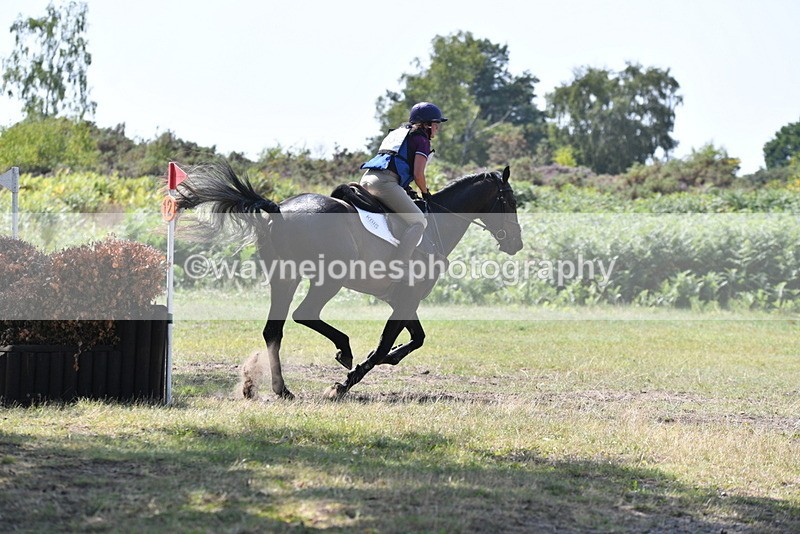 WJ5_3425 - XC Time 13:30 to 14:00
