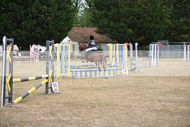 WJ6_0819 - Class 14 Intermediate Jumping 75cm
