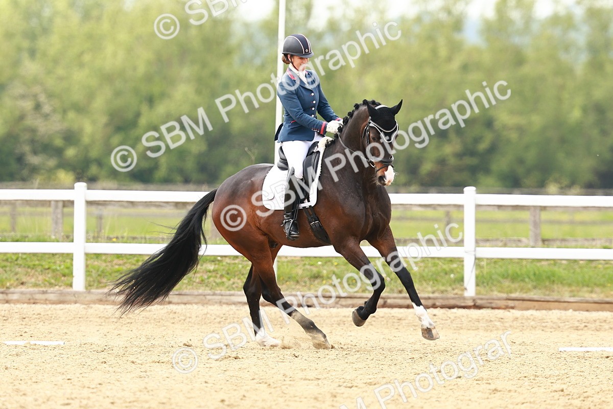 SBM_002657 - Class 12 - Medium 4