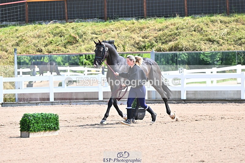 240718A-105237-00943 - Trot Up 11am to 12pm